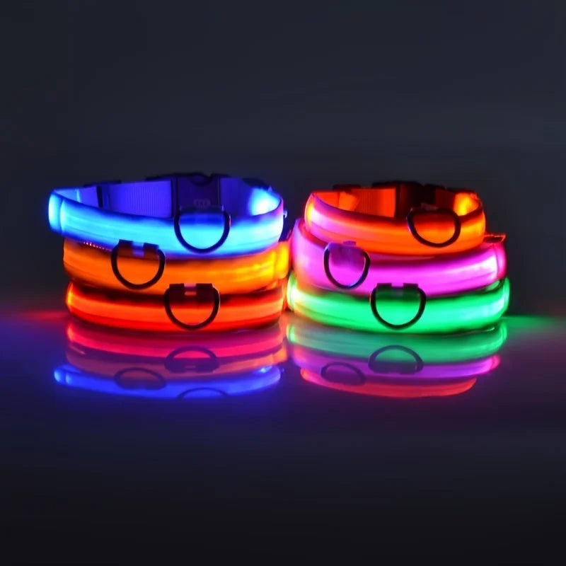 LED Flashing Glow In The Dark Dog Collar